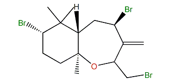 Palisadin C